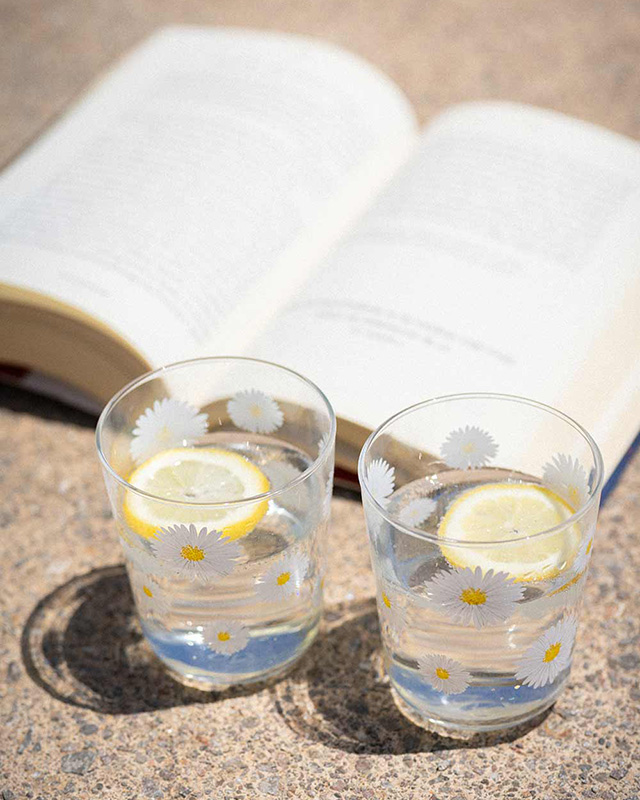 Vasos Ofelia Home &amp; Decor